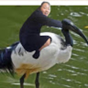 Meet your Posher, Tina